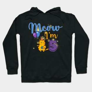 Rd kids meow i’m  bday cat party cute Hoodie